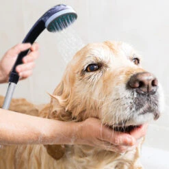 Streetwize Rechargeable Portable Shower -CampLux Sales Shop Shower 1 59727.1636115829